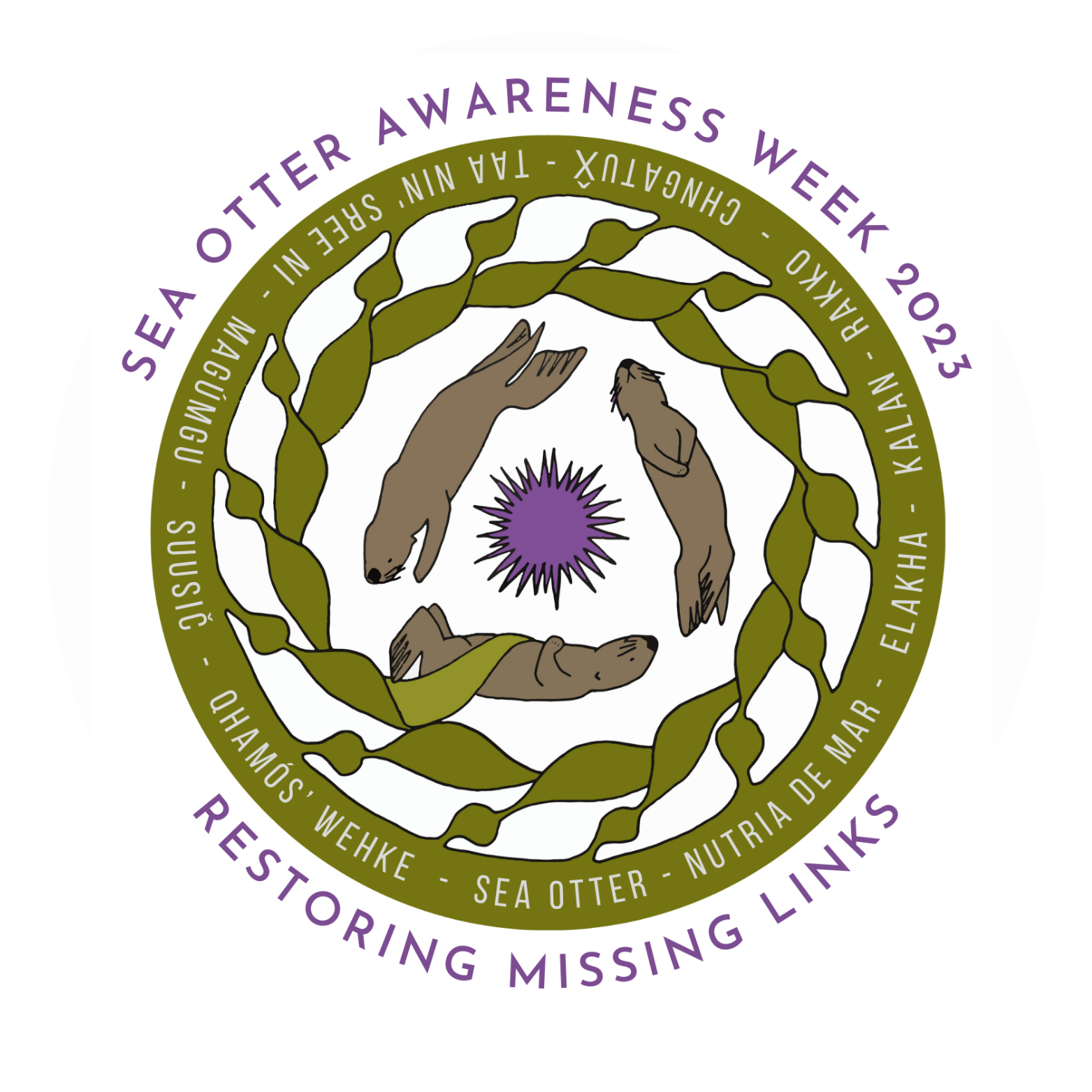 Sea Otter Awareness Week | Defenders of Wildlife